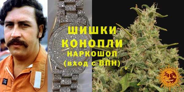 альфа пвп Новодвинск