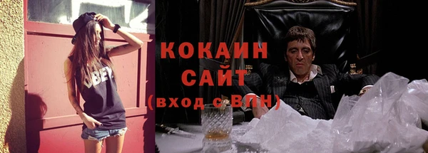 альфа пвп Новодвинск