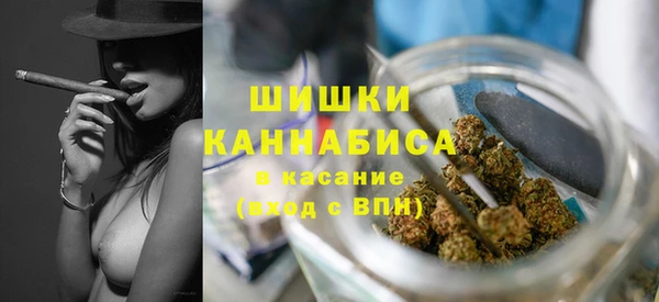 альфа пвп Новодвинск
