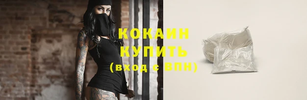 дживик Вуктыл