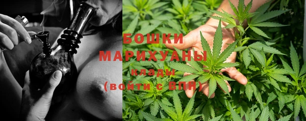 альфа пвп Новодвинск