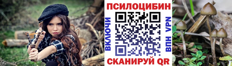 Галлюциногенные грибы MAGIC MUSHROOMS Ртищево